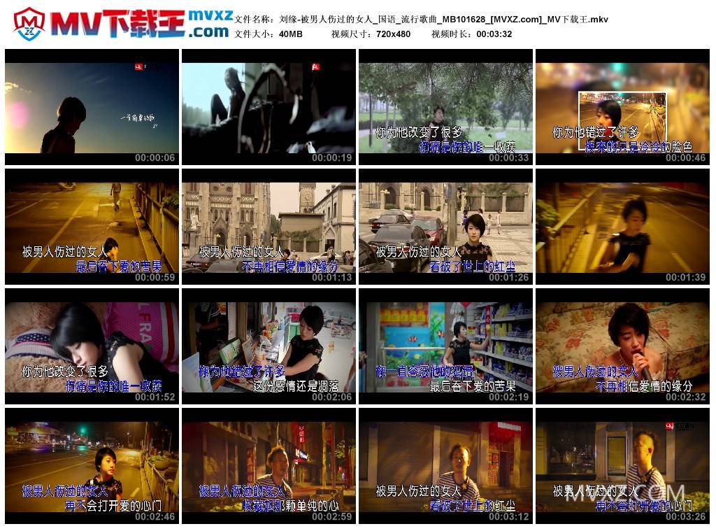 刘缘-被男人伤过的女人_国语_流行歌曲_MB101628